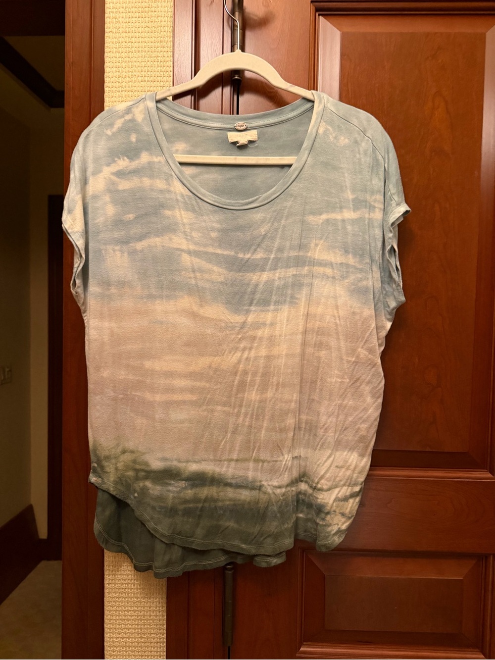Cupio Blue and Green Ombre Short Sleeve Tee